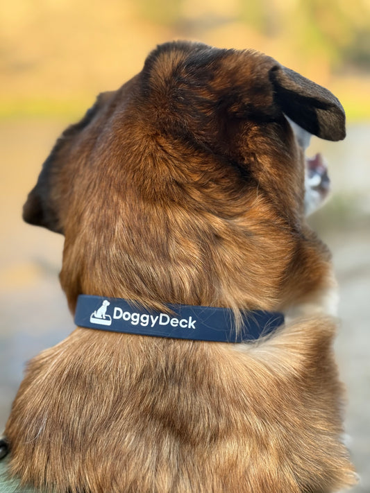 DoggyDeck™ Screen-Printed Dog Collar