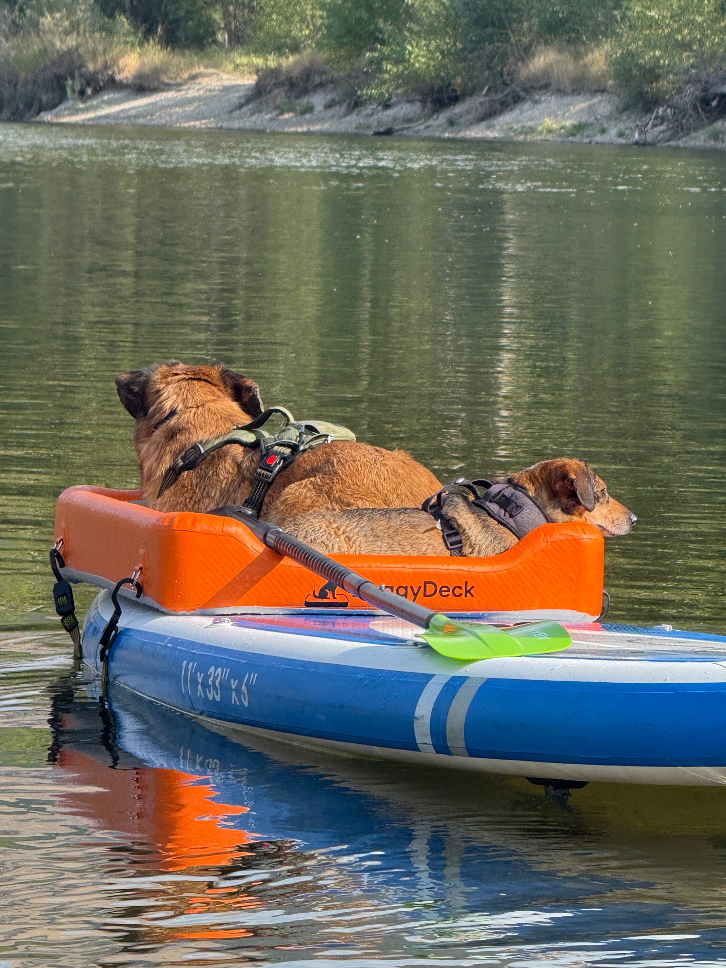 🐾 DoggyDeck™ – Inflatable Paddleboard Dog Platform