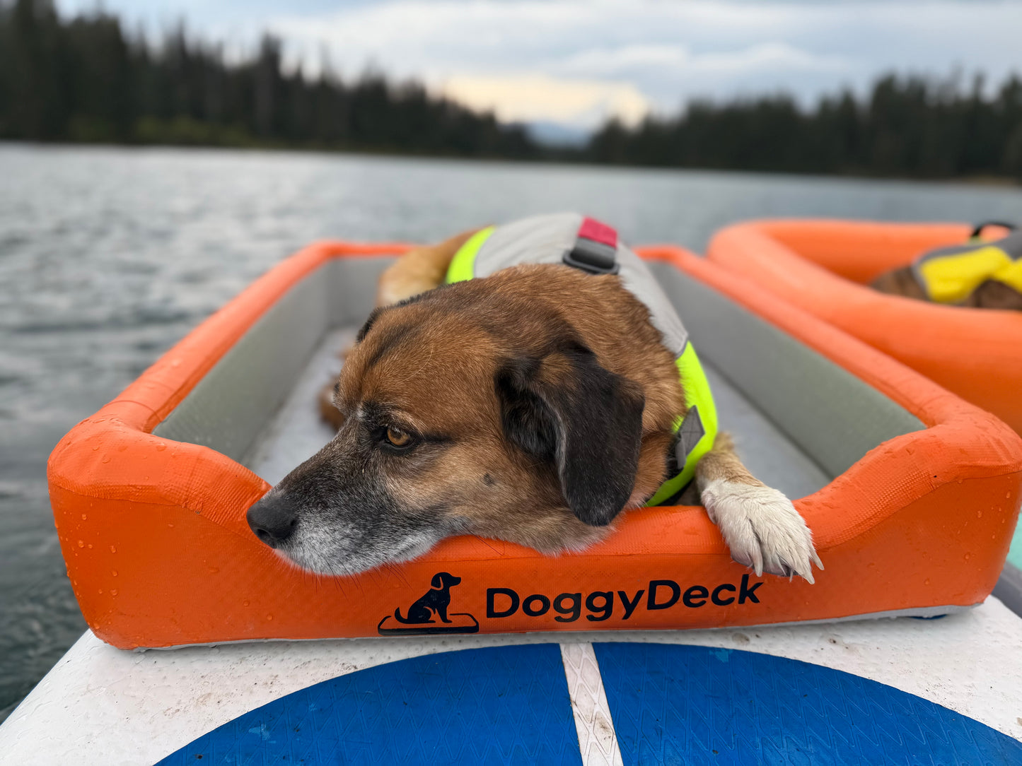 DoggyDeck™ Reservation Deposit