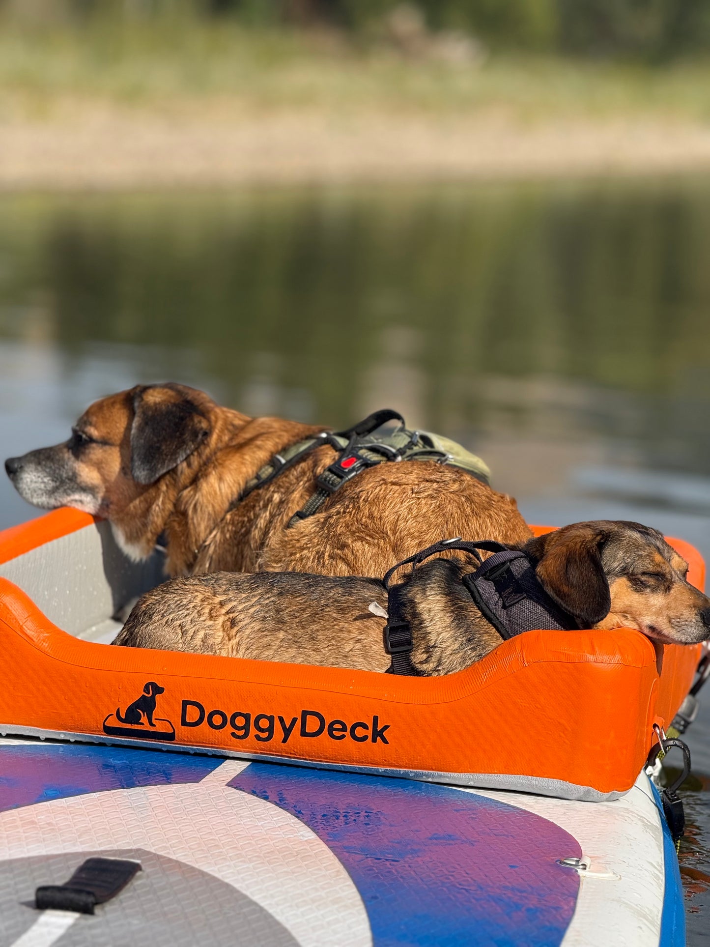 🐾 DoggyDeck™ – Inflatable Paddleboard Dog Platform