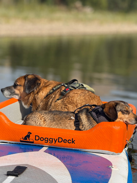 🐾 DoggyDeck™ – Inflatable Paddleboard Dog Platform