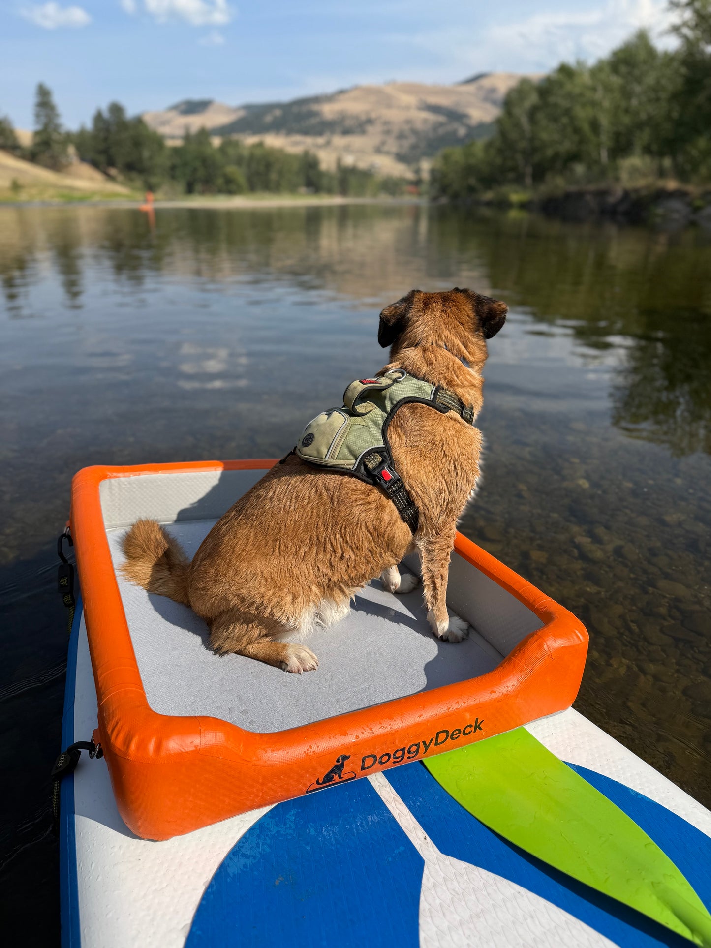 🐾 DoggyDeck™ – Inflatable Paddleboard Dog Platform