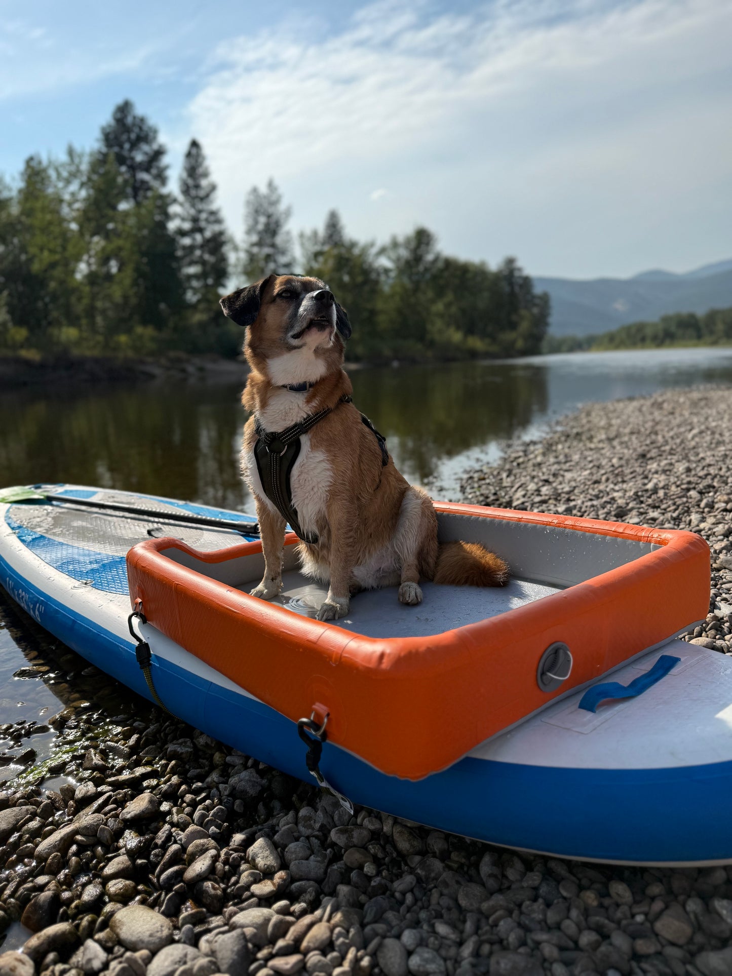 🐾 DoggyDeck™ – Inflatable Paddleboard Dog Platform