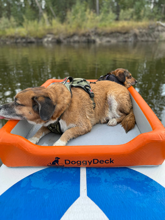DoggyDeck™ Reservation Deposit