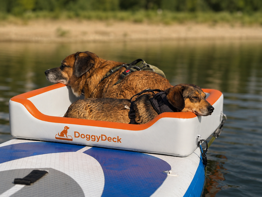 DoggyDeck™ Inflatable Paddleboard Platform